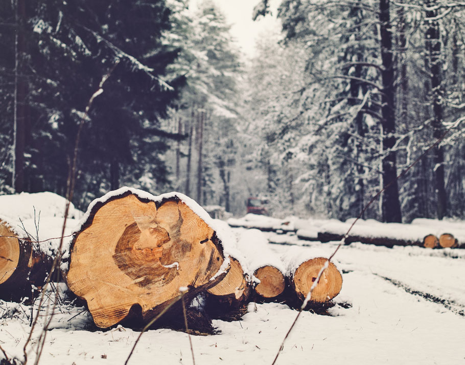 l'estività dell'inverno